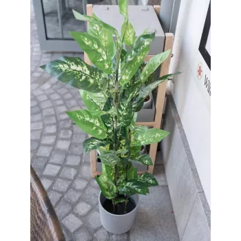 EUROPALMS umetna rastlina dieffenbachia 120cm 82508306
