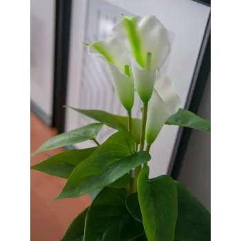 EUROPALMS Calla mini umetna rastlina kala, bela, 43 cm 82540347