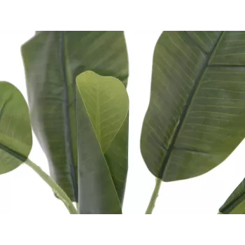 EUROPALMS umetna rastlina bananovec, 100cm, zeleni listi, črn lonec 82509503