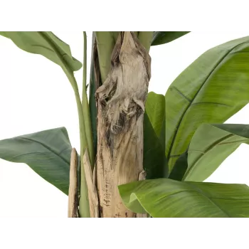 EUROPALMS umetno bananovo drevo, 170cm, zeleni listi, črn lonec 82509539