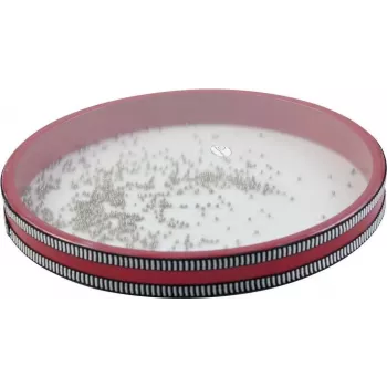 DIMAVERY Ocean Drum, majhen (26055830)