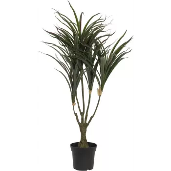 EUROPALMS umetna rastlina dracaena, zeleno-rdeča, 90cm 82505778