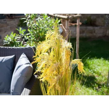 EUROPALMS umetni šopek trstja, 118 cm 82600136