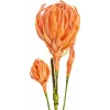 EUROPALMS umetna veja dalij (EVA), oranžna 82530582