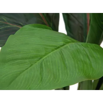 EUROPALMS umetni grm blitve, 45cm, zelen 82508302