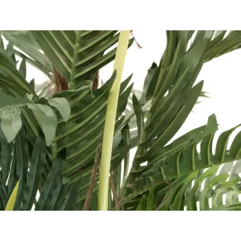 EUROPALMS umetna palma kentia 180cm 82511367