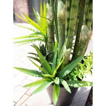 EUROPALMS umetni mix sukulent, 190cm 82600035