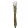 EUROPALMS umetna trstika, kaki, 127 cm 82505853