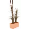 EUROPALMS umetna trstika s storži, temno rjava, 152cm 82505857