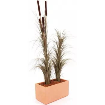 EUROPALMS umetna trstika s storži, temno rjava, 152cm 82505857