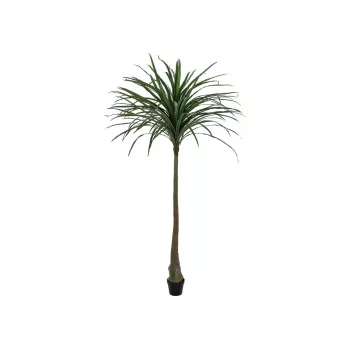 EUROPALMS umetna rastlina dracena, zelena, 220cm 82505798