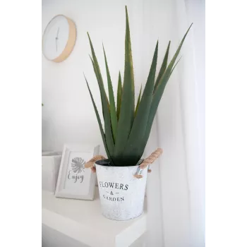 EUROPALMS umetna rastlina aloe vera, 60 cm, črn lonec 82600167