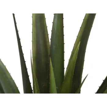 EUROPALMS umetna rastlina aloe vera, 60 cm, črn lonec 82600167