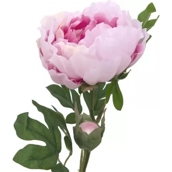 EUROPALMS Peony Branch Classic, umetna rastlina, roza, 80cm 82530210