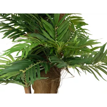 EUROPALMS umetna rastlina areka palma, 140cm 82509407