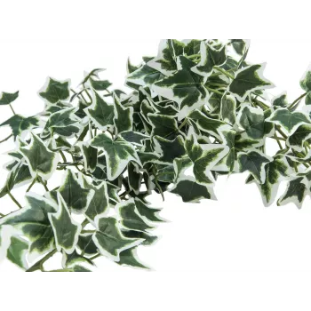 EUROPALMS Holland Ivy Bush Screen Classic, umetni, 70cm 82502211