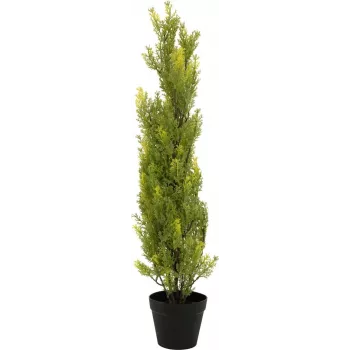 EUROPALMS umetna cipresa Leyland, 90cm, črna posoda 82606962