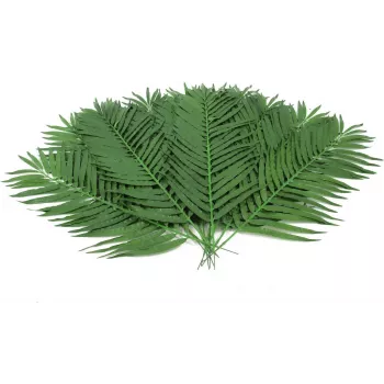 EUROPALMS umetni listi kokosove palme, 90 cm, 12 kosov, zeleni 82509896