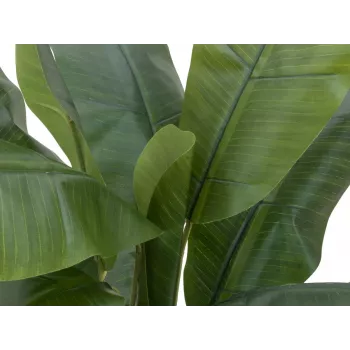 EUROPALMS umetno bananovo drevo, 120cm, realistični zeleni listi, črna posoda 82509537