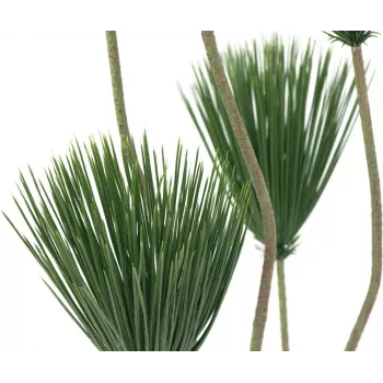 EUROPALMS umetna rastlina papirus, 130 cm 82600235