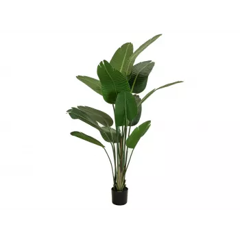 EUROPALMS umetna strelicija, 170 cm 82540523