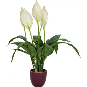 EUROPALMS umetna mirovna lilija, 60 cm 82505660