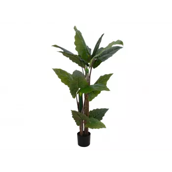 EUROPALMS umetna rastlina alokazija, 140cm, zelena, črna posoda 82508464