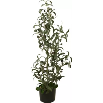 EUROPALMS umetno oljčno drevo, 90 cm 82506422