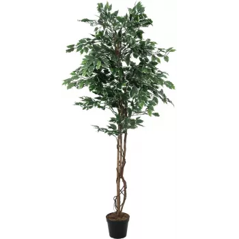 EUROPALMS srebrni fikus Benjamina umetna rastlina, 180 cm 82506116