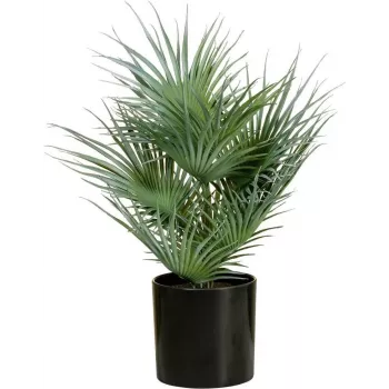 EUROPALMS umetna pahljačasta palma v loncu, 55 cm 82509401
