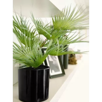 EUROPALMS umetna pahljačasta palma v loncu, 55 cm 82509401