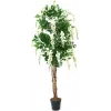 EUROPALMS Goldregen umetna rastlina, bela, 150cm (82507105)