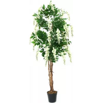 EUROPALMS Goldregen umetna rastlina, bela, 150cm (82507105)