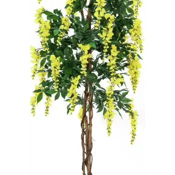 EUROPALMS Goldregen umetna rastlina, rumena, 150cm 82507115