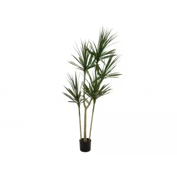 EUROPALMS umetna rastlina dracena, zelena, 170 cm 82505799