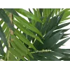EUROPALMS umetna rastlina palma, 150cm 82509495