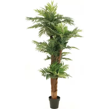 EUROPALMS areka palma umetna rastlina 170cm 82509408
