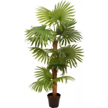 EUROPALMS umetna pahljačasta palma 130cm 82509302