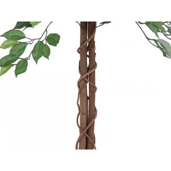 EUROPALMS Ficus Benjamina večdebelna umetna rastlina, 150cm 82506125