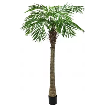 EUROPALMS umetna rastlina feniksova palma Luxor, 300cm 82510723