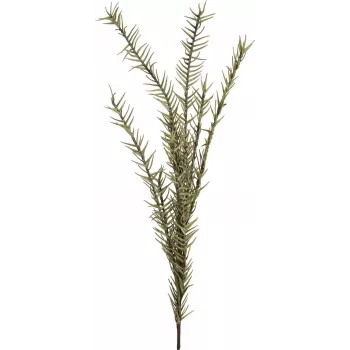 EUROPALMS umetna vejica rožmarina (EVA), zelena 82531064