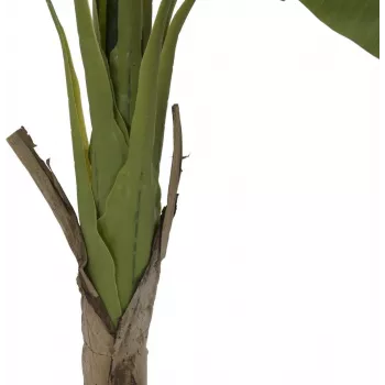 EUROPALMS umetna rastlina bananovec, 145cm 82509504