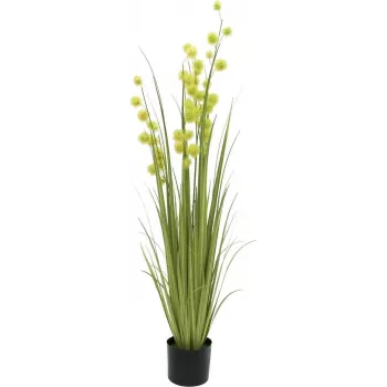 EUROPALMS umetna rastlina pompom trava, 122 cm, zelena 82500136