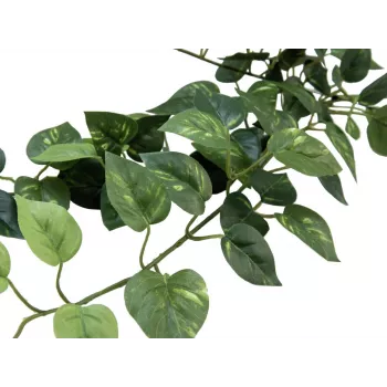EUROPALMS Pothos grmovna živa meja Classic, umetna, 70cm (82502201)