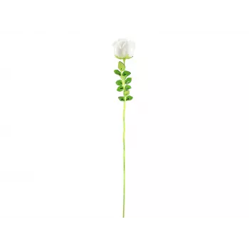 EUROPALMS Crystal Rose umetni cvet, bela, 81 cm, 12 kosov 82600208