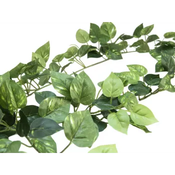 EUROPALMS Pothos girlanda Classic, umetna, 180cm 82503728