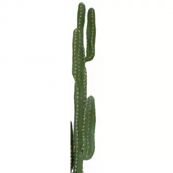 EUROPALMS mehiški kaktus umetna rastlina, zelena, 123cm 82801072