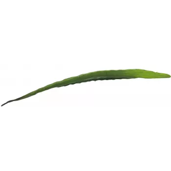 EUROPALMS umetni list aloe (EVA), zelen, 60cm 82530581