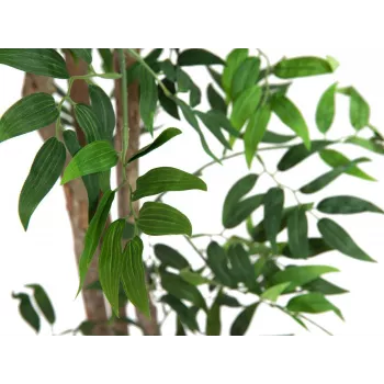 EUROPALMS Ficus Longifolia umetna rastlina, 165cm 82506350