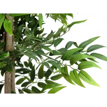 EUROPALMS Ficus Longifolia umetna rastlina, 165cm 82506350